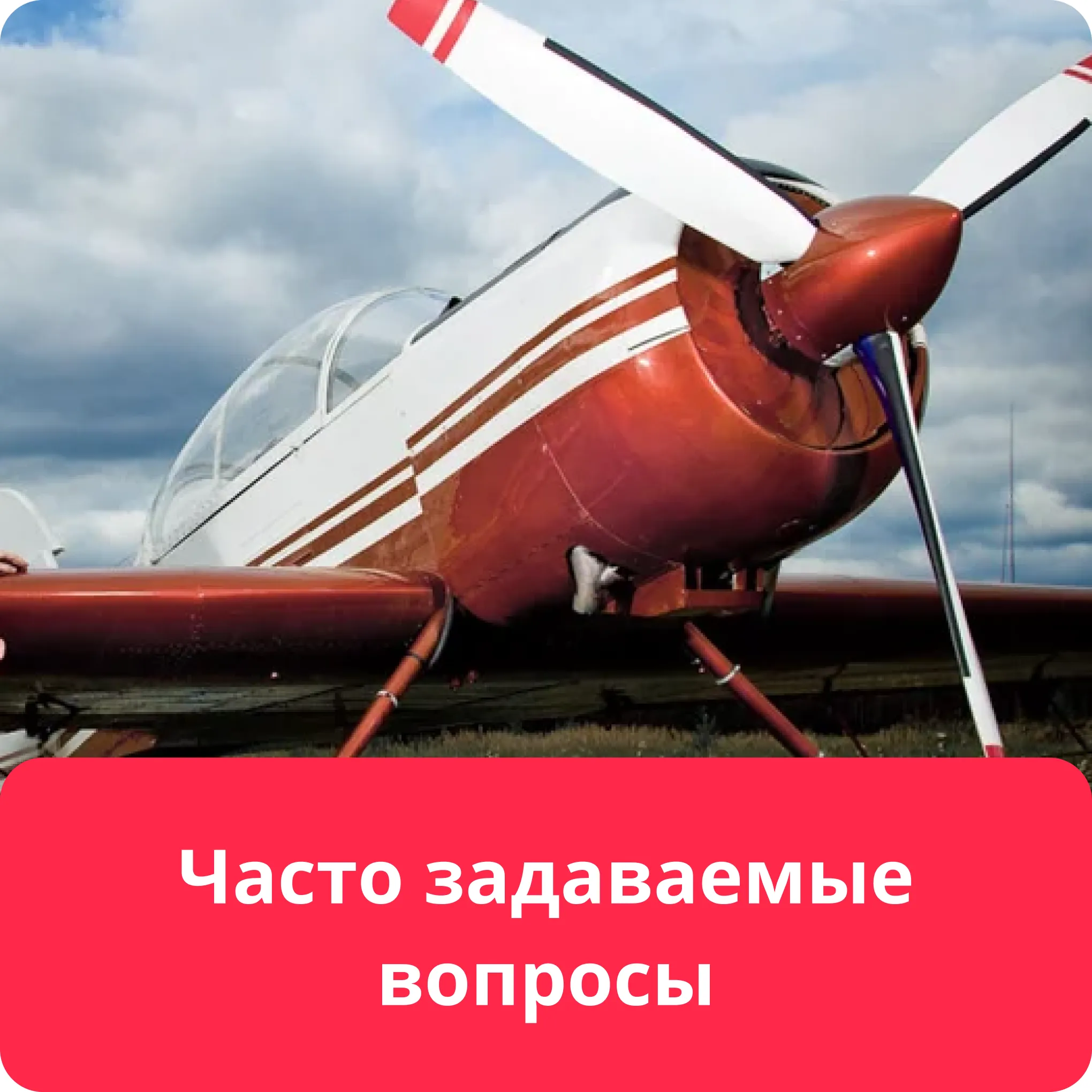 aviator